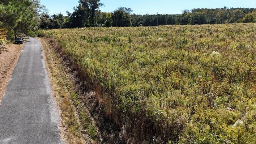 Quiet Country Living - 4ac. Sand Rock, AL