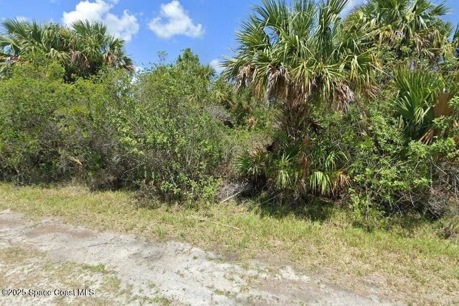 Vacant Land in Palm Bay - Palm Bay, Florida, 32908