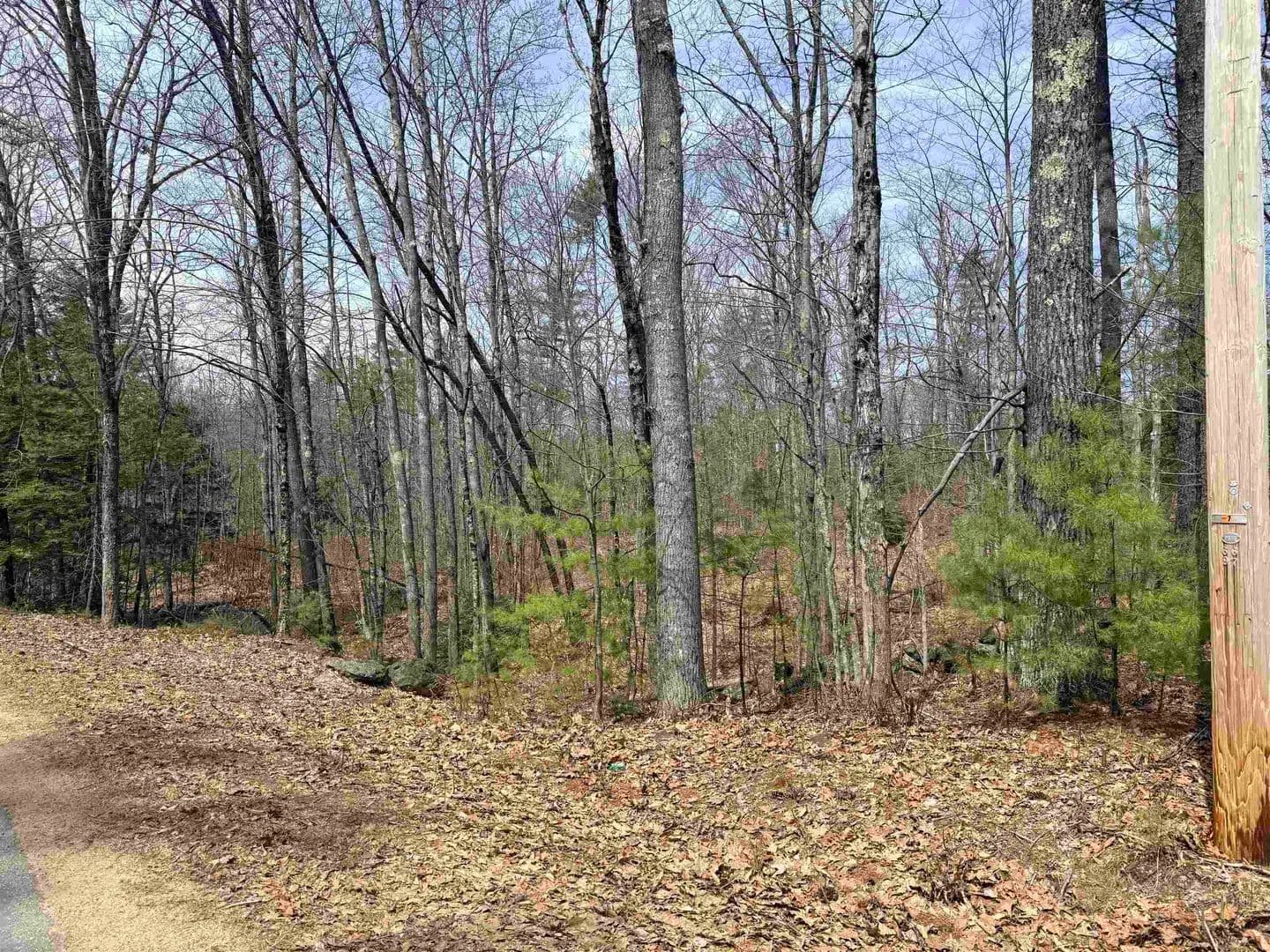 Vacant Land in Canterbury - Canterbury, New Hampshire, 03224