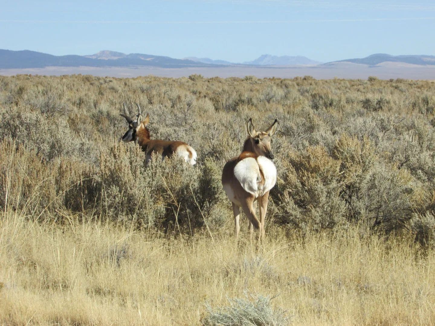 Lots & Land-Other in Beryl - Beryl, Utah, 84714