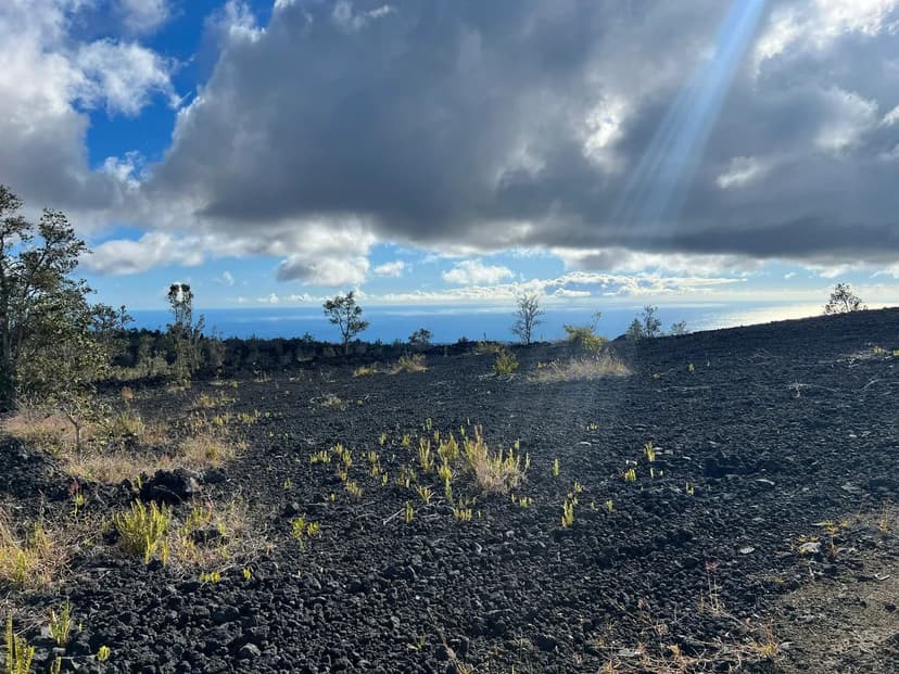 Property from 22A LEHUA LN - KW