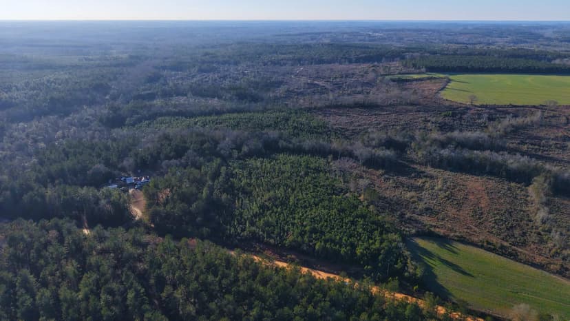 14 Acres in Covington County, AL 