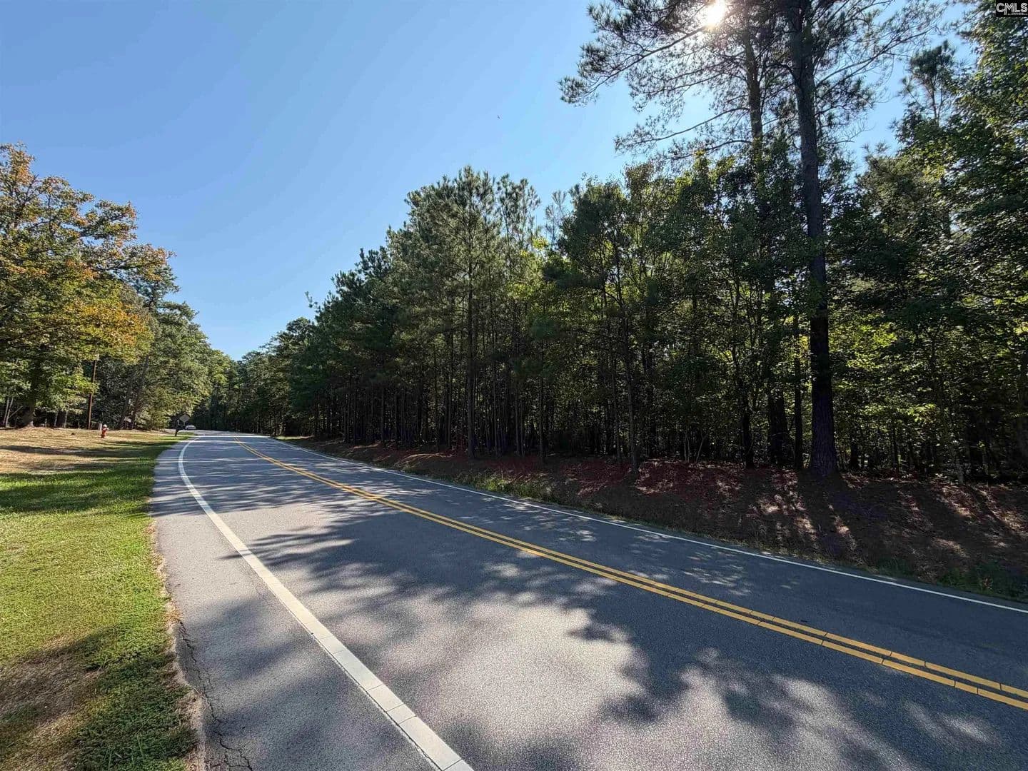 Vacant Land in Chapin - Chapin, South Carolina, 29036