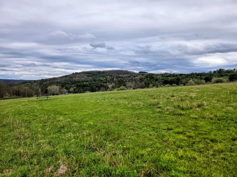 Vacant Land in Binghamton