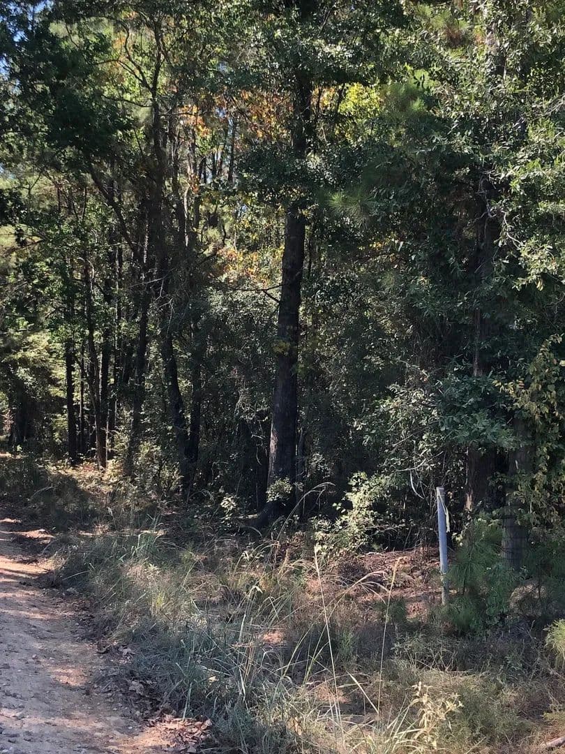 Lots & Land-Other in Clinton - Clinton, Louisiana, 70722