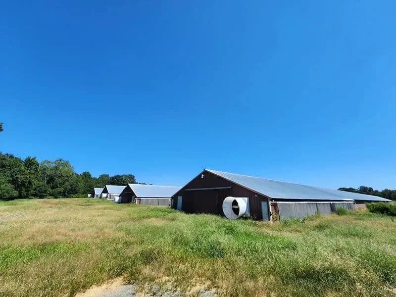 Ivy Broiler Farm – Four House Farm in Anson County, NC - Polkton, North Carolina, 28135