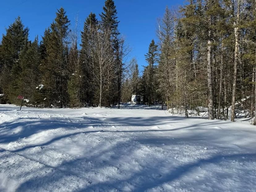 Vacant Land (0-10 Acres) in Mercer