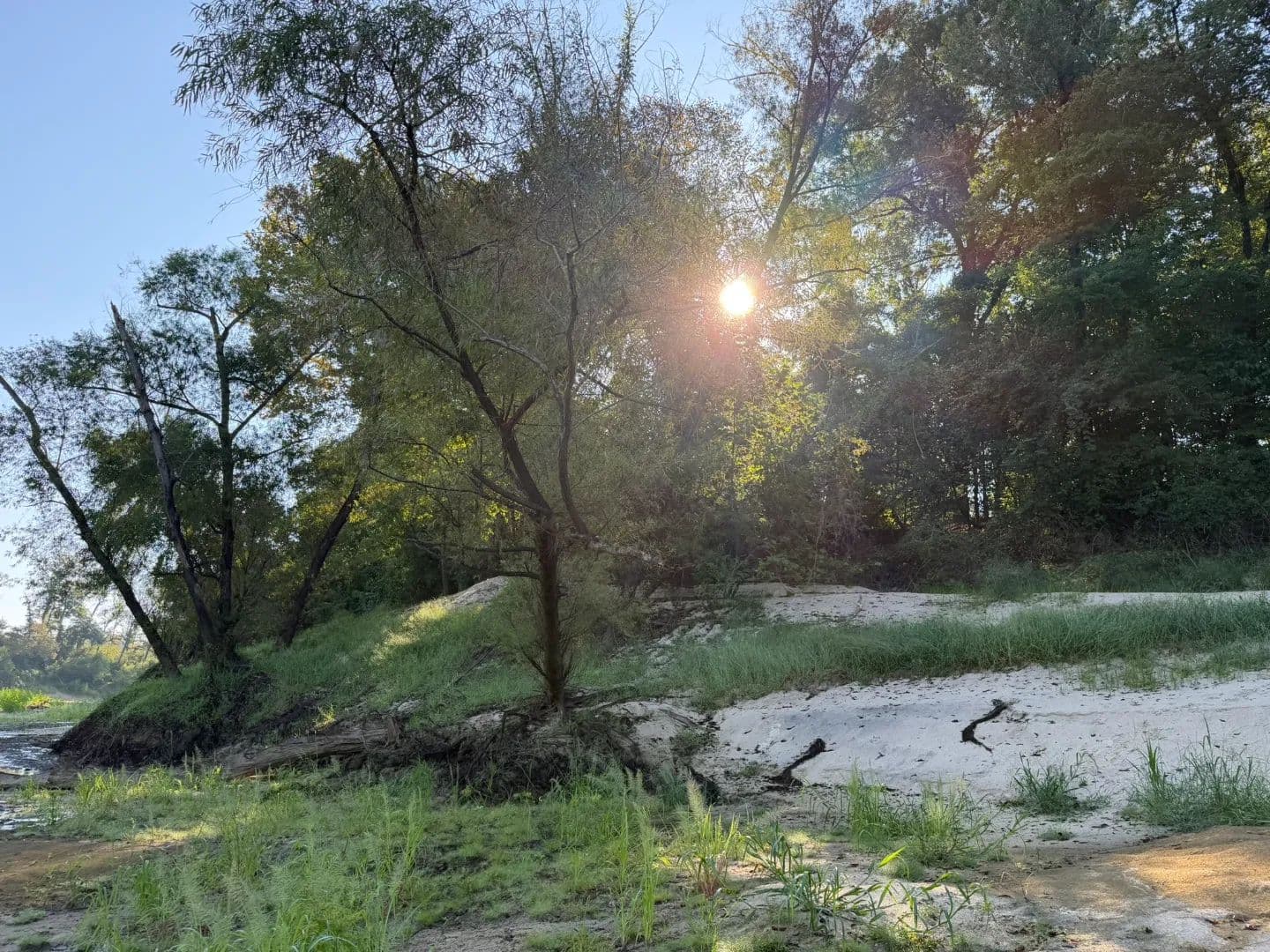 380 Acres in Copiah County, MS  - Crystal Springs, Mississippi, 39059