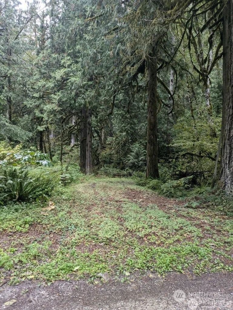 Vacant Land in Marblemount