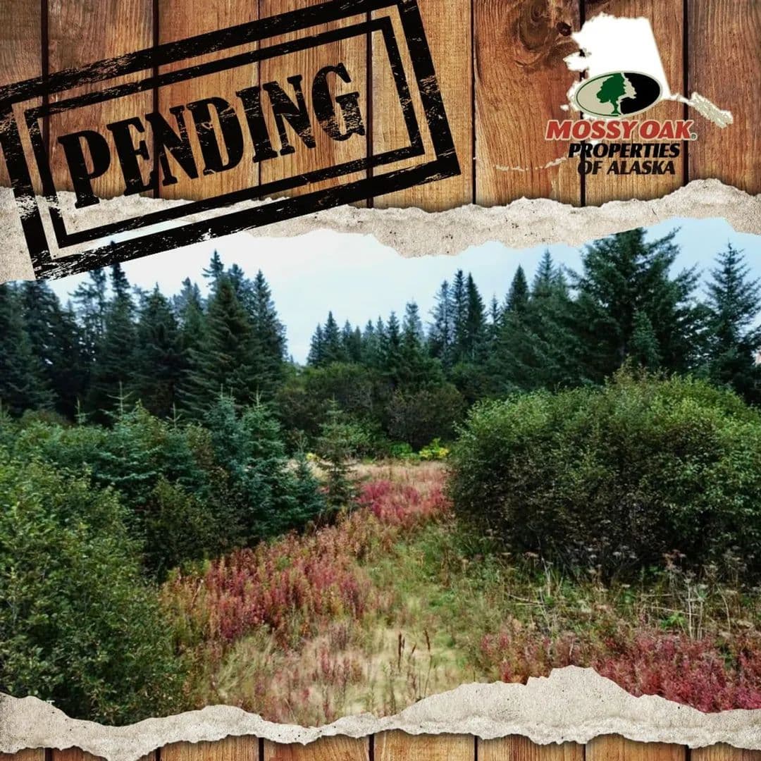 Highway frontage with access behind - Anchor Point, Alaska, 99556