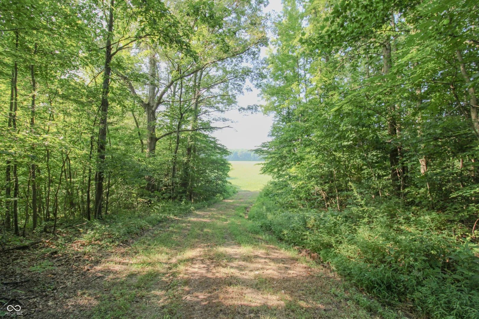 Lots & Land-Other in Butlerville - Butlerville, Indiana, 47223