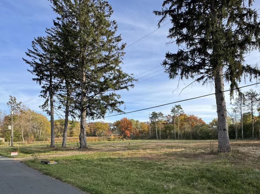 Vacant Land in Lino Lakes