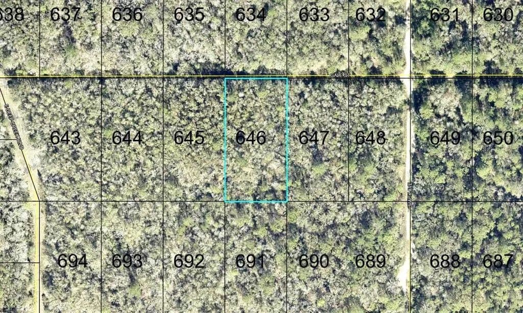 Vacant Land in Hastings - Hastings, Florida, 32145