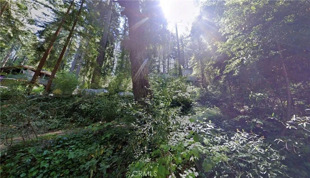 Property from 77 Railroad - KW - Occidental, California, 95419