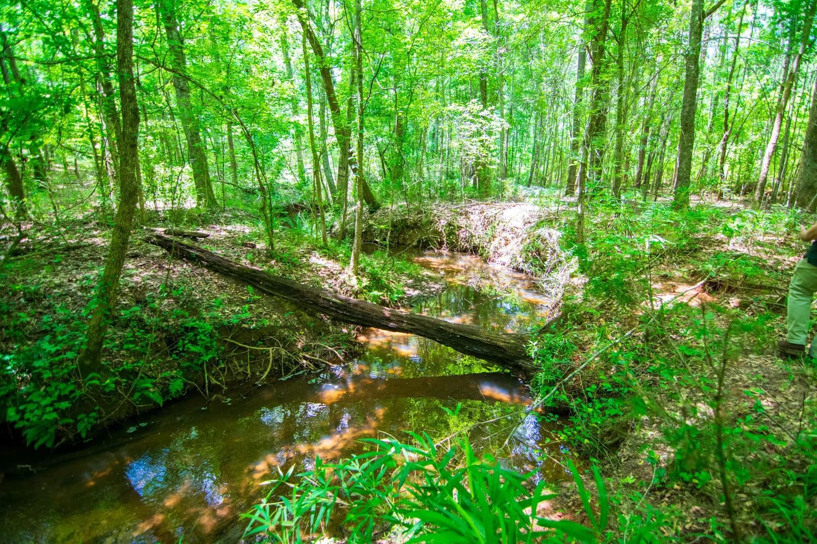 Land -Single Family Acreage in Pine Mountain - Pine Mountain, Georgia, 31822