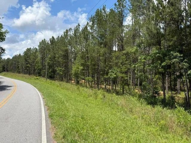 Property from 0 Iron Hill Road - KW - Taylorsville, Georgia, 30178