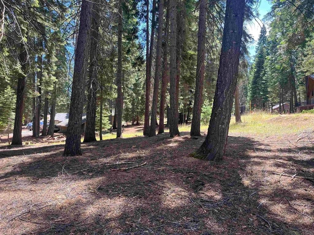 Vacant Land in Lake Almanor - Lake Almanor, California, 96137