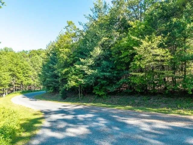 Lots & Land-Other in Ellijay - Ellijay, Georgia, 30540