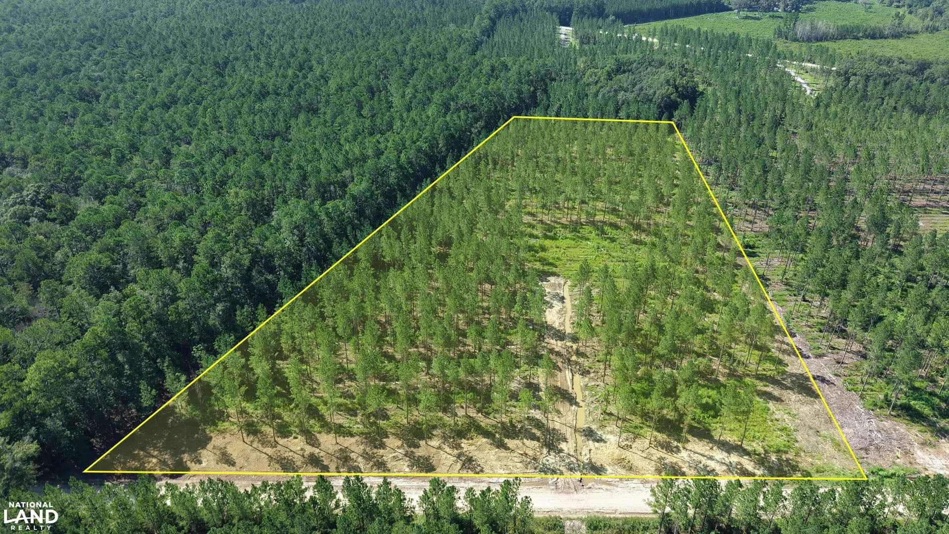 Buck Swamp Lot 4 - Brunswick, Georgia, 31523