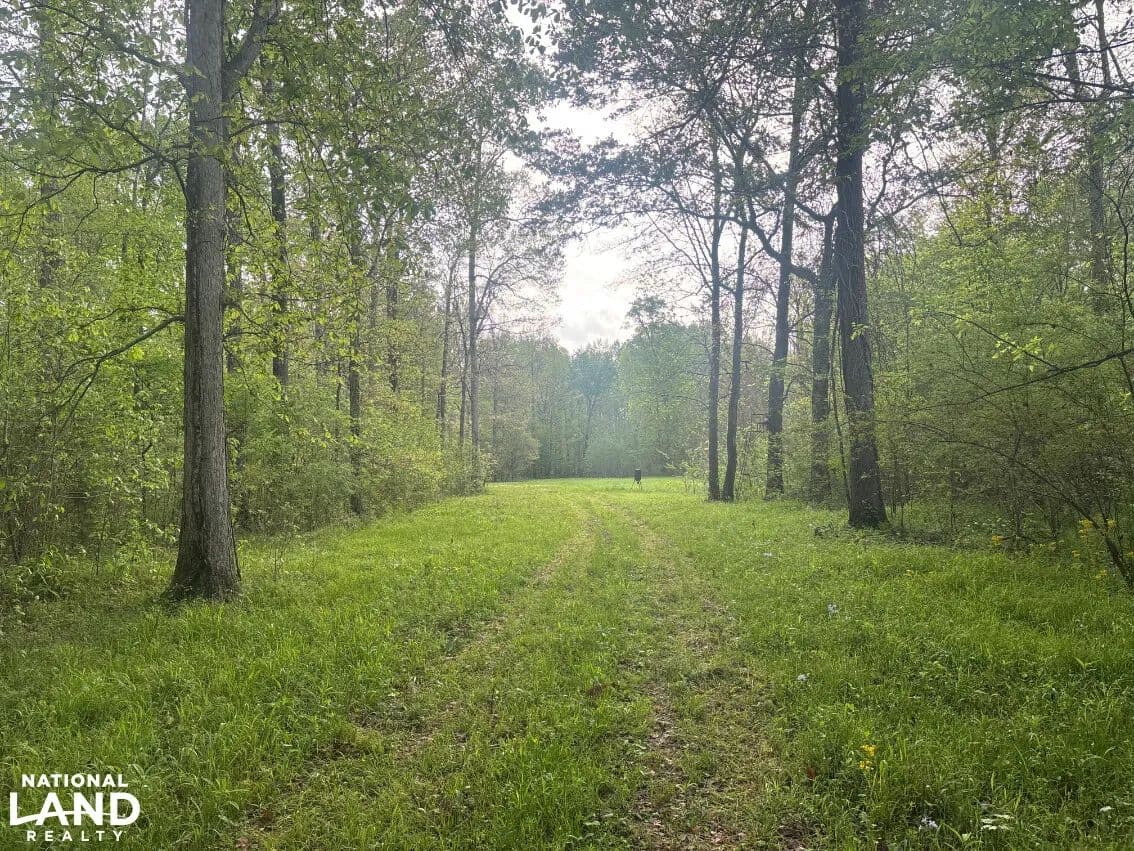 Tibbee Timber and Recreational Tract - West Point, Mississippi, 39773