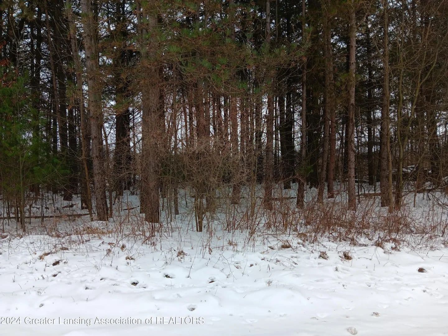 Vacant Land in Pleasant Lake - Pleasant Lake, Michigan, 49272