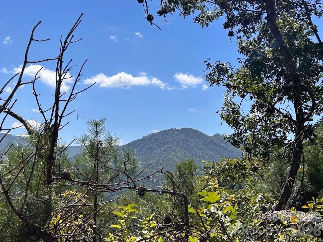 Lots & Land-Other in Sylva - Sylva, North Carolina, 28779