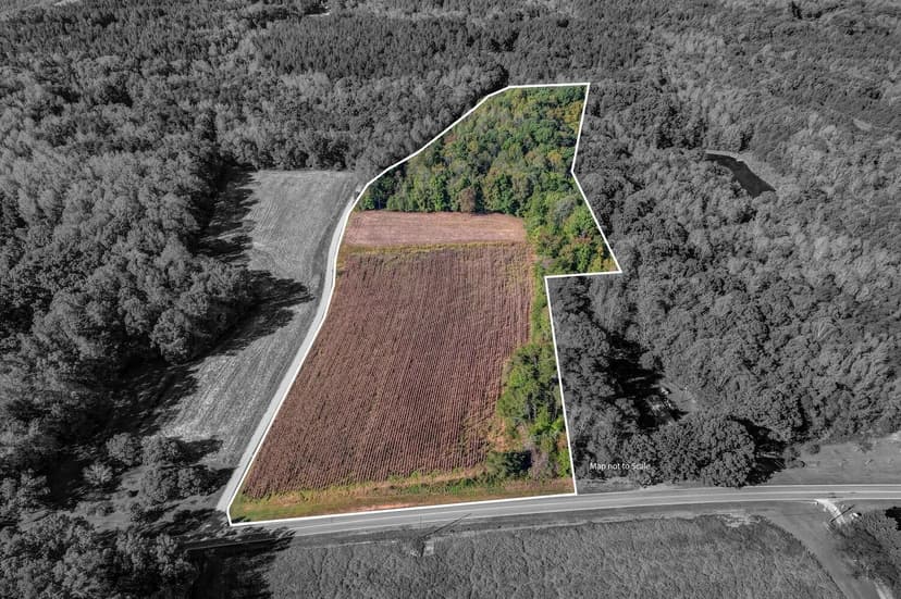 Vacant Land (10+ Acres) in Ruffin