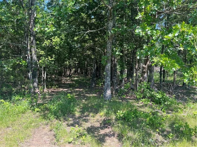 Property from Madison County Road 6124 - KW