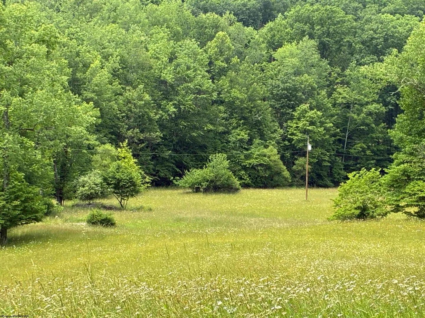 25.33 Acres of Land for Sale in Crawford, West Virginia - Crawford, West Virginia, 26343