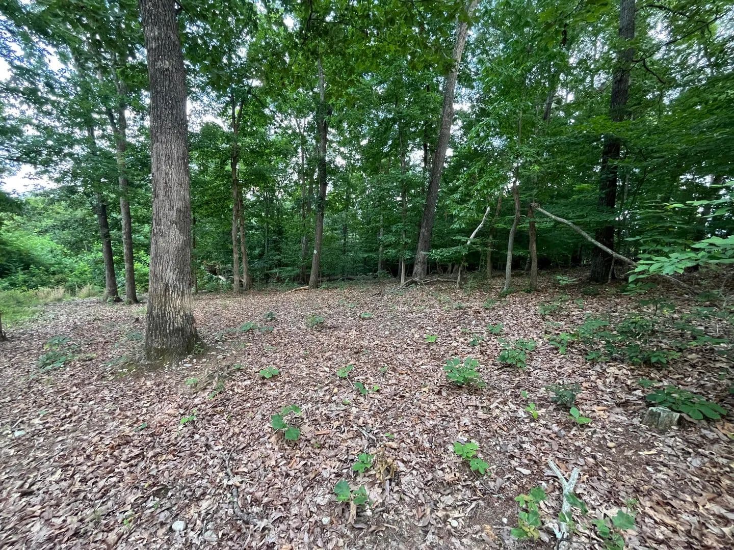 0.86 Acres of Land for Sale in White Pine, TN - White Pine, Tennessee, 37890