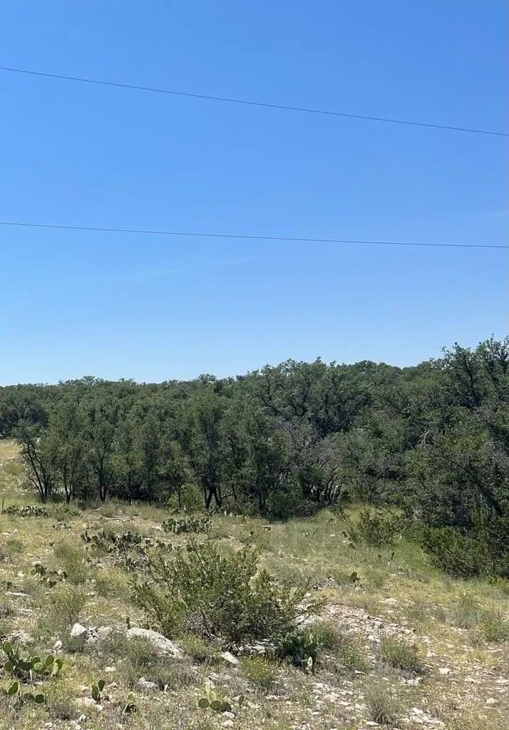 Lots & Land-Other in Christoval - Christoval, Texas, 76935