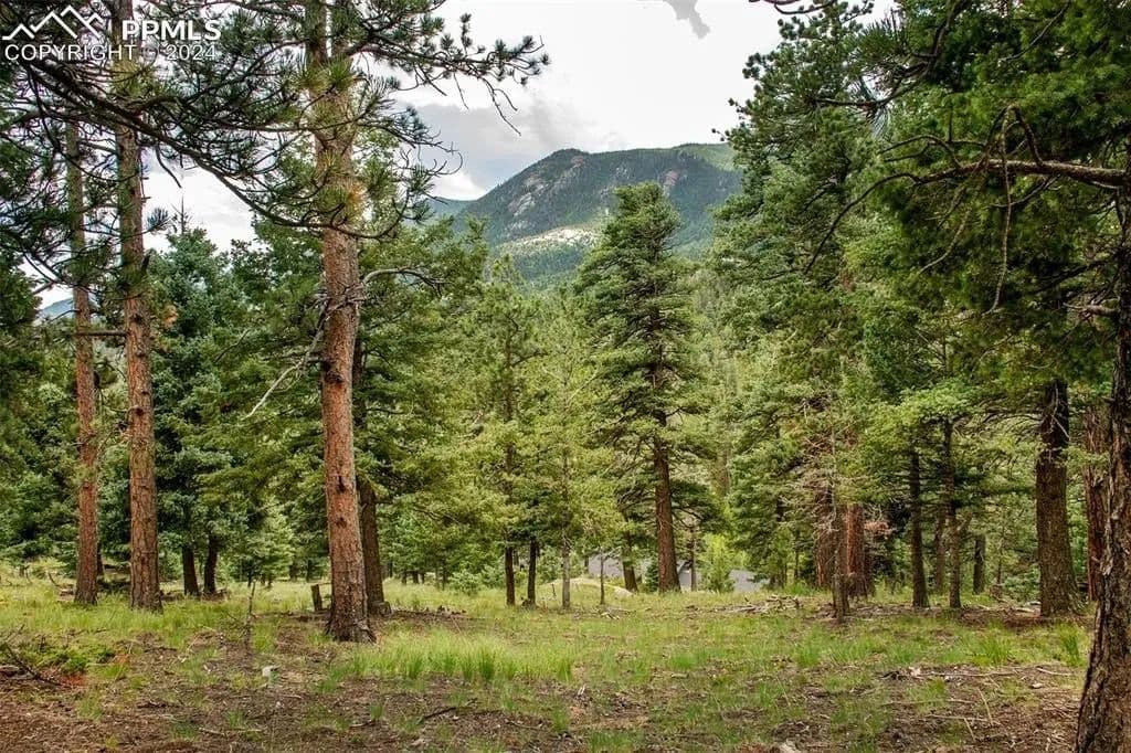 Lots & Land-Other in Manitou Springs - Manitou Springs, Colorado, 80829