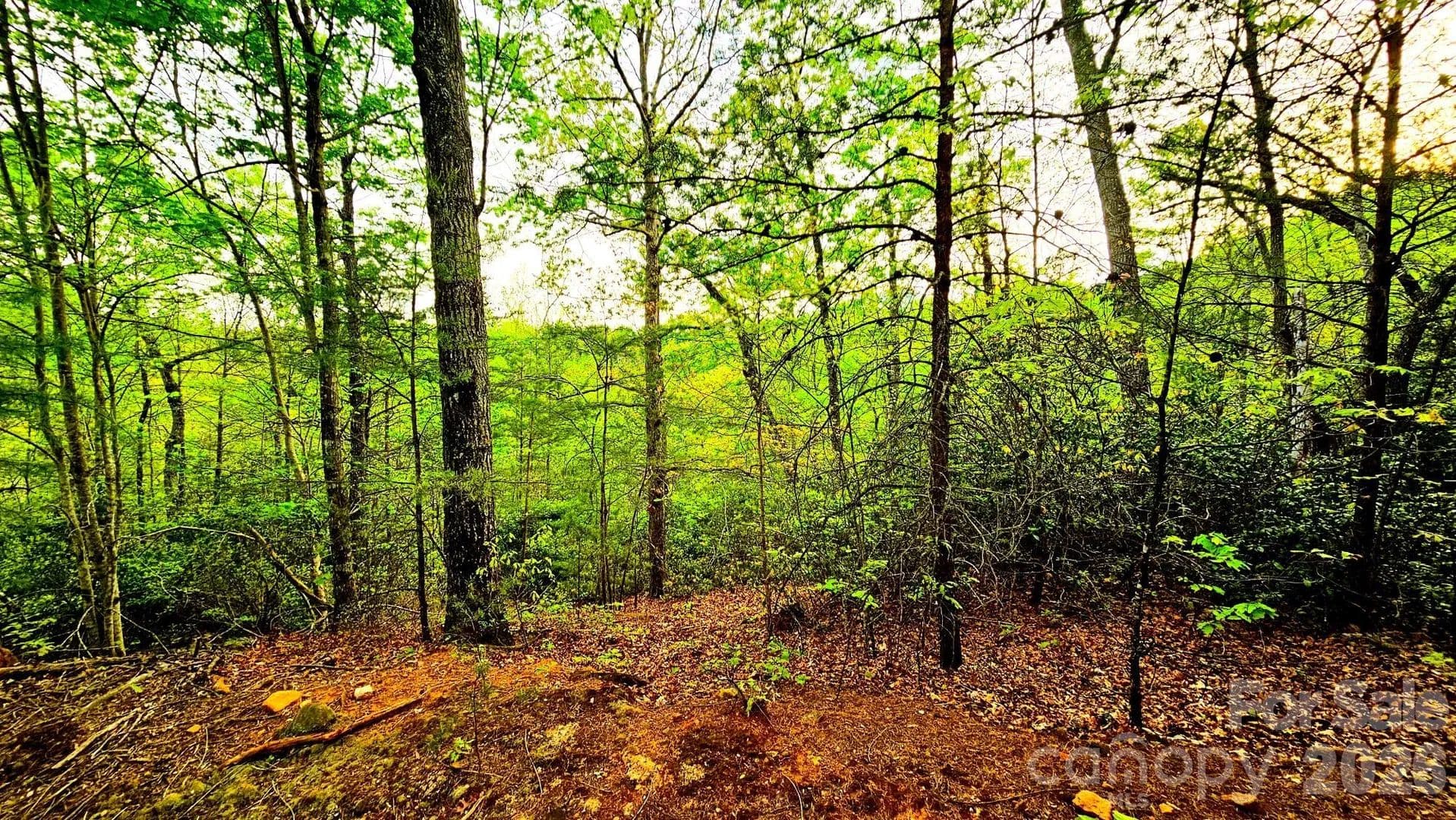 Lots & Land-Other in Lake Lure - Lake Lure, North Carolina, 28746