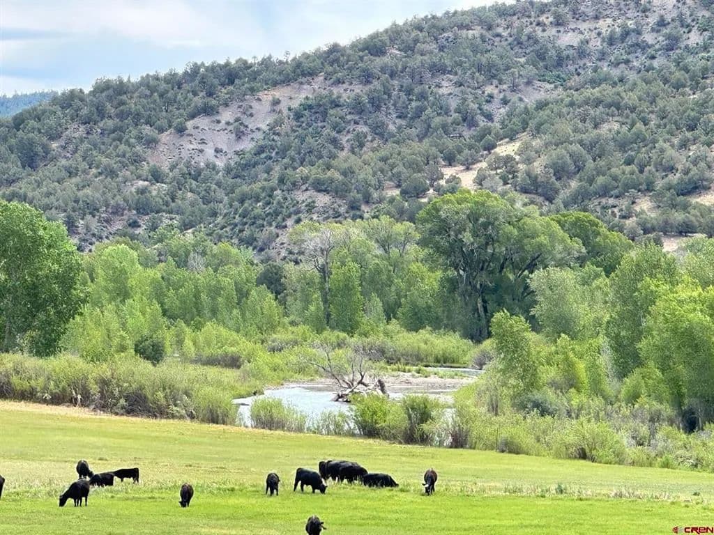 Property from X USFS RD 613 - KW - Arboles, Colorado, 81147