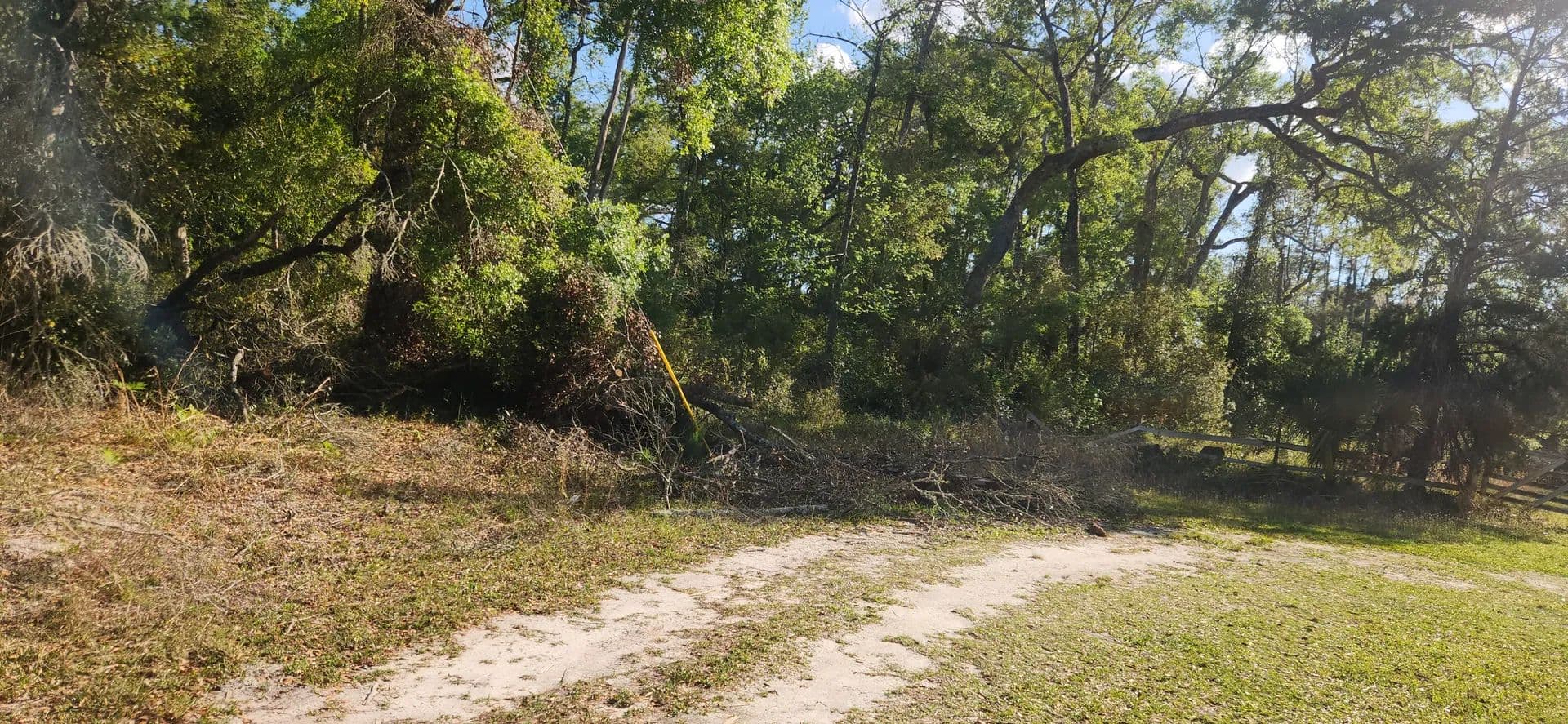 Vacant Land (0-10 Acres) in Old Town - Old Town, Florida, 32680