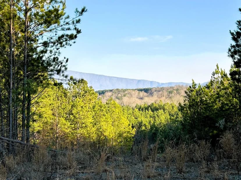 Property from 00 Freedom Way - KW