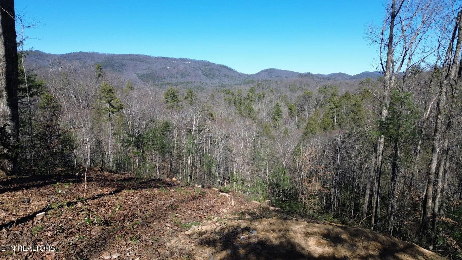 Vacant Land in Walland - land for sale