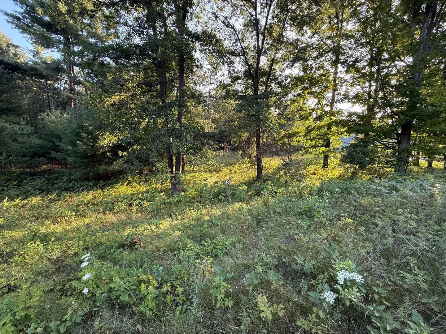 Lots & Land-Other in Big Rapids - Big Rapids, Michigan, 49307