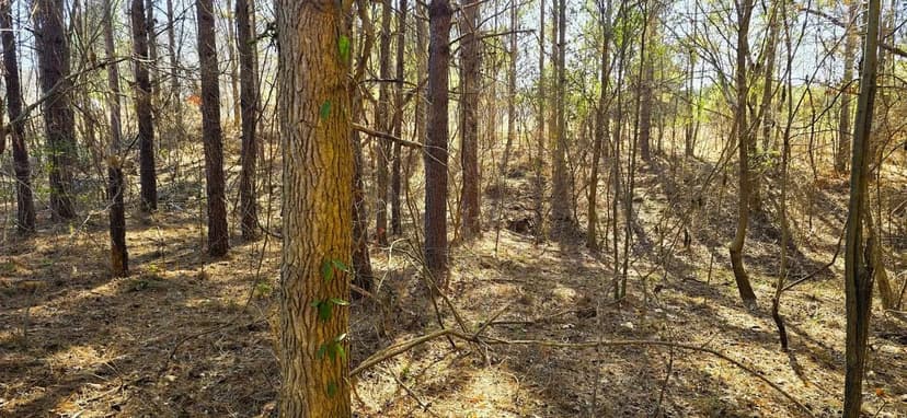 20 ACRES JOINS 1,184 ACRE WILDLIFE MANAGEMENT AREA