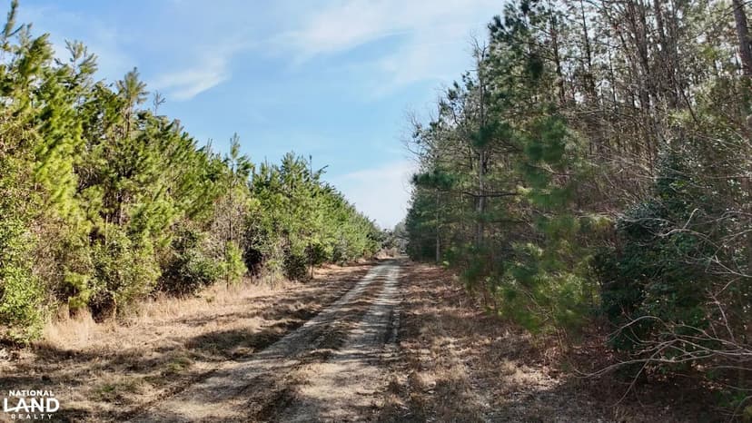 Cofield Deer Duck and Turkey Tract