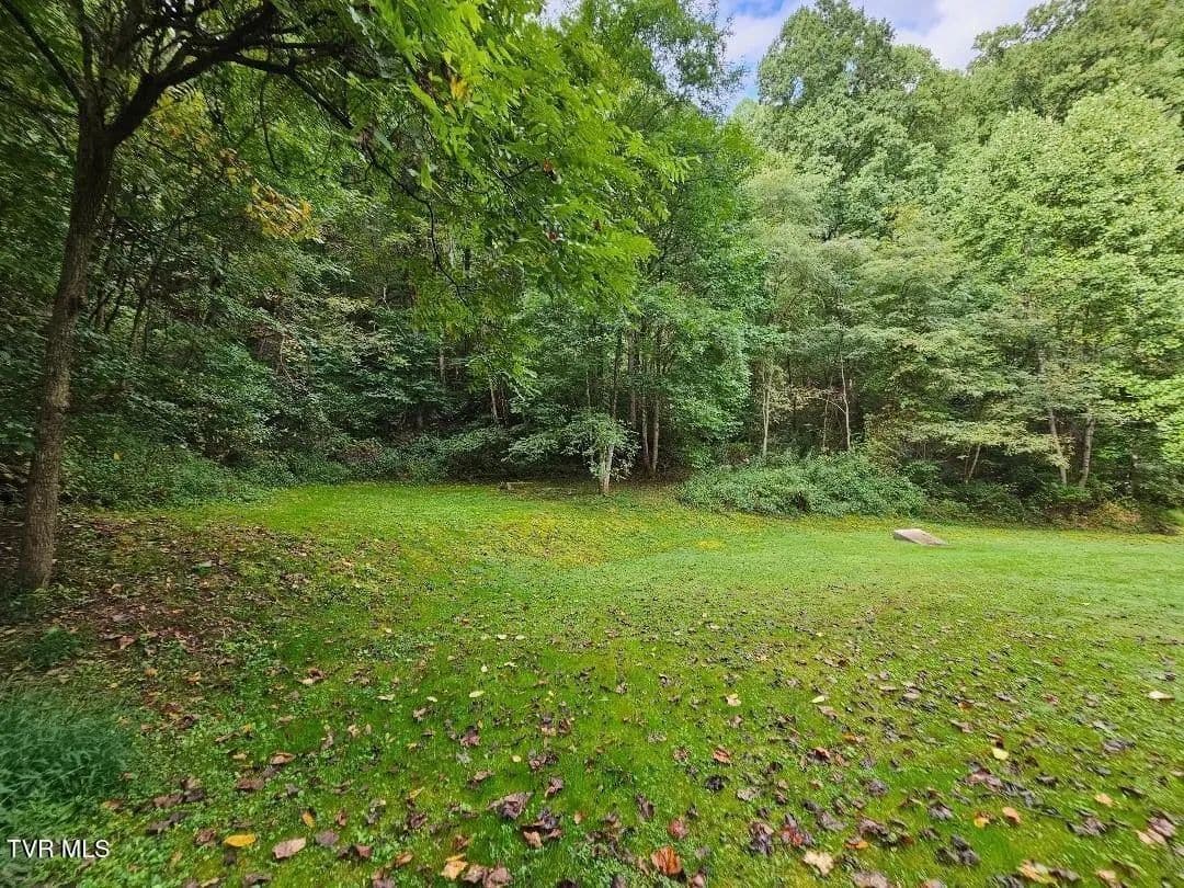 Lots & Land-Other in Wise - Wise, Virginia, 24293