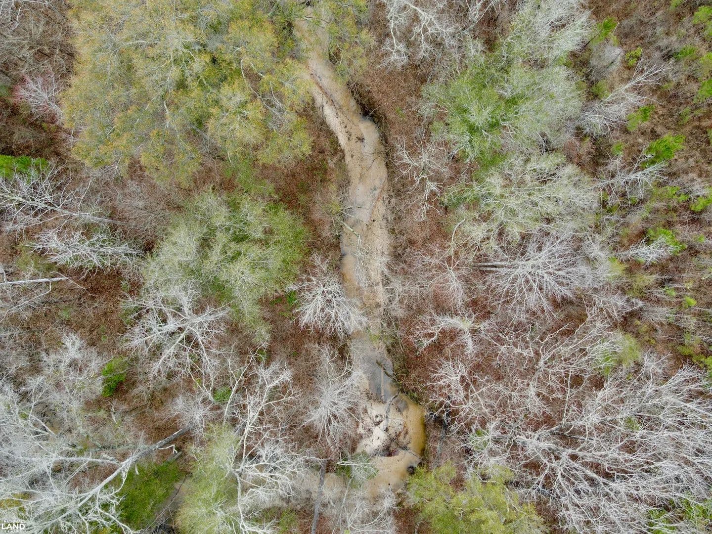 Nichols Creek CR 15 Tract - Sweet Water, Alabama, 36782