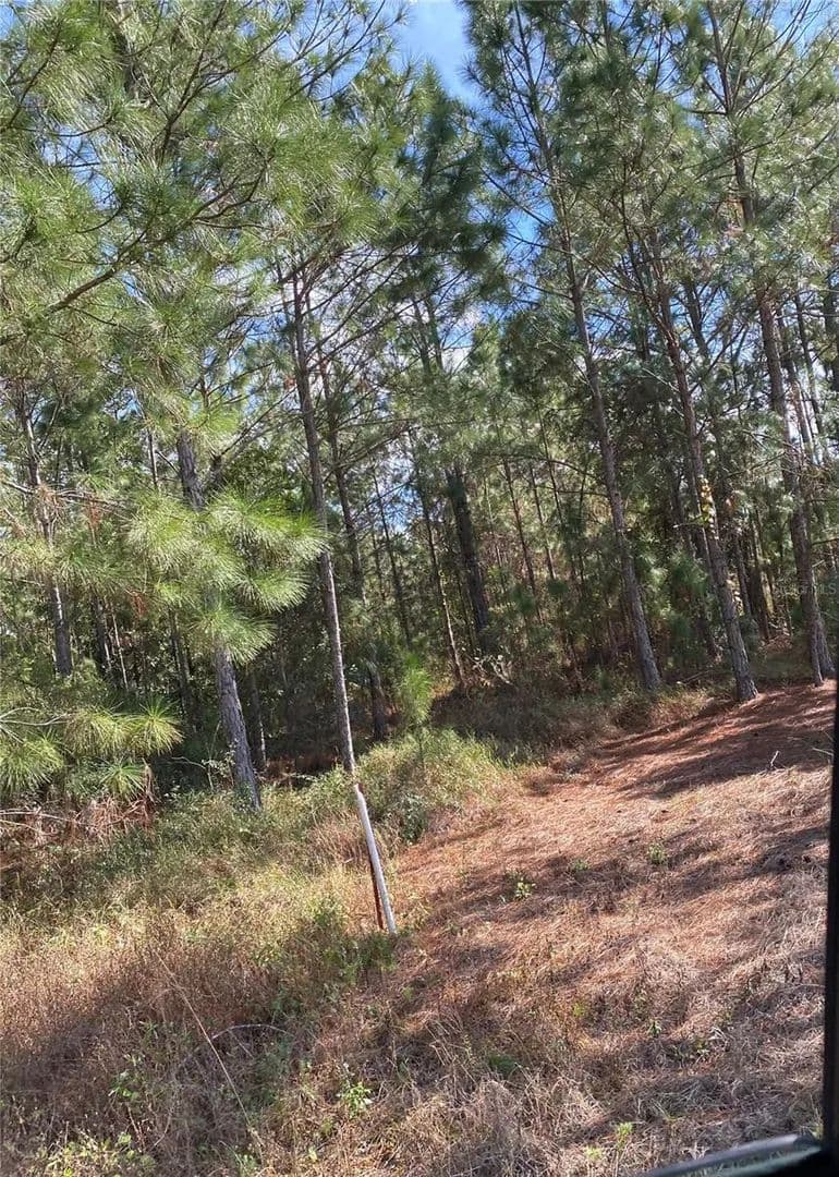 5.5 Acres of Land for Sale in POLK CITY, FL - Polk City, Florida, 33868