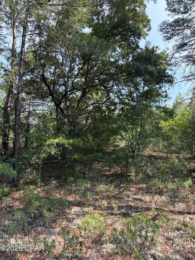 Property from Lot 2 Dumajack Road - KW - Chipley, Florida, 32428