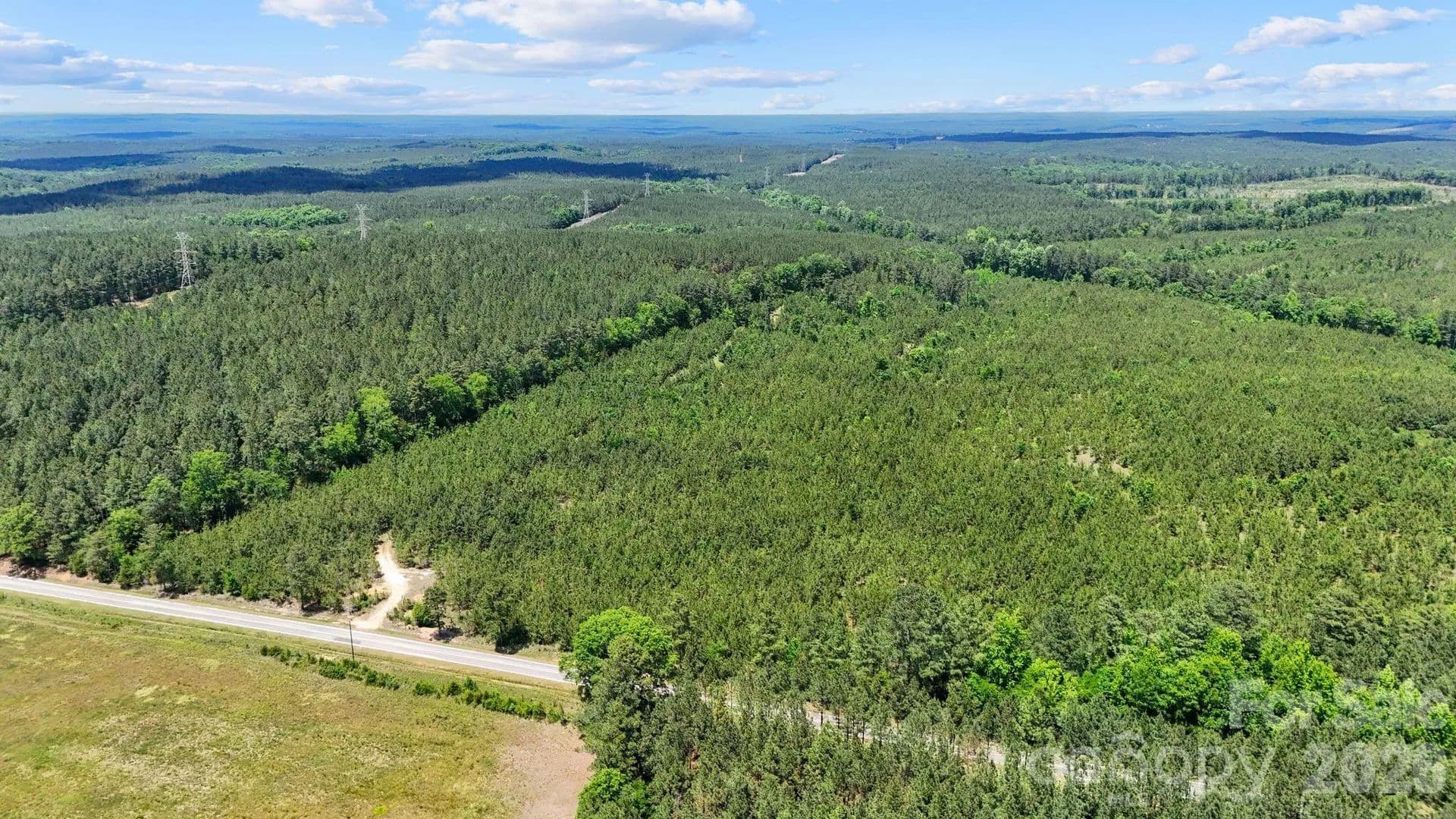 36 Acres of Land for Sale in Carlisle, SC - Carlisle, South Carolina, 29706