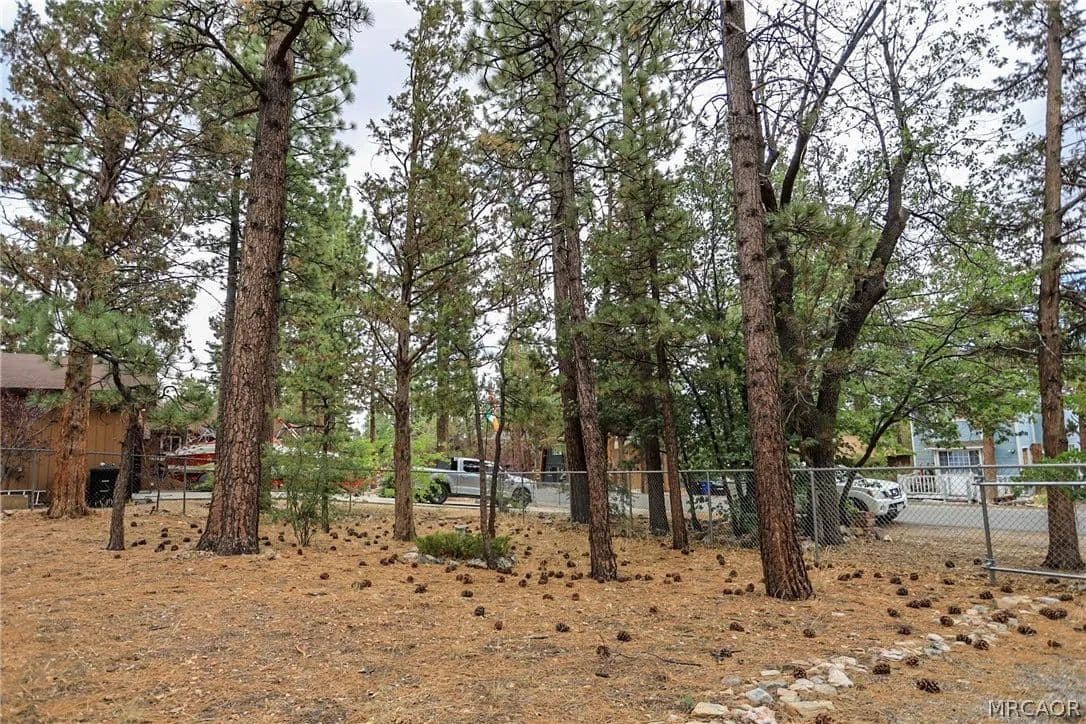 Vacant Land in Sugarloaf - Sugarloaf, California, 92386