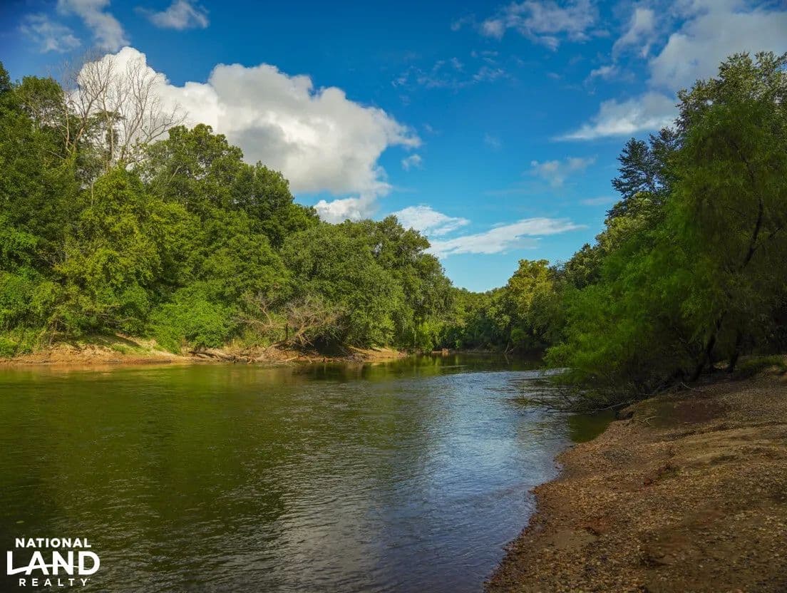 Cahaba River Hunting and Timber Tract - land for sale