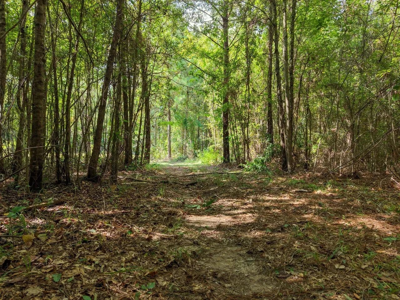 Harvey Rd. Leake County 15 - Carthage, Mississippi, 39051
