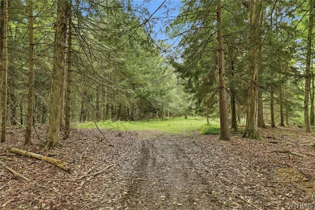 Lots & Land-Other in Holland - Holland, New York, 14080