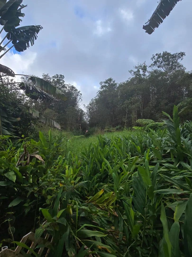 Lots & Land-Other in Mountain View - Mountain View, Hawaii, 96771